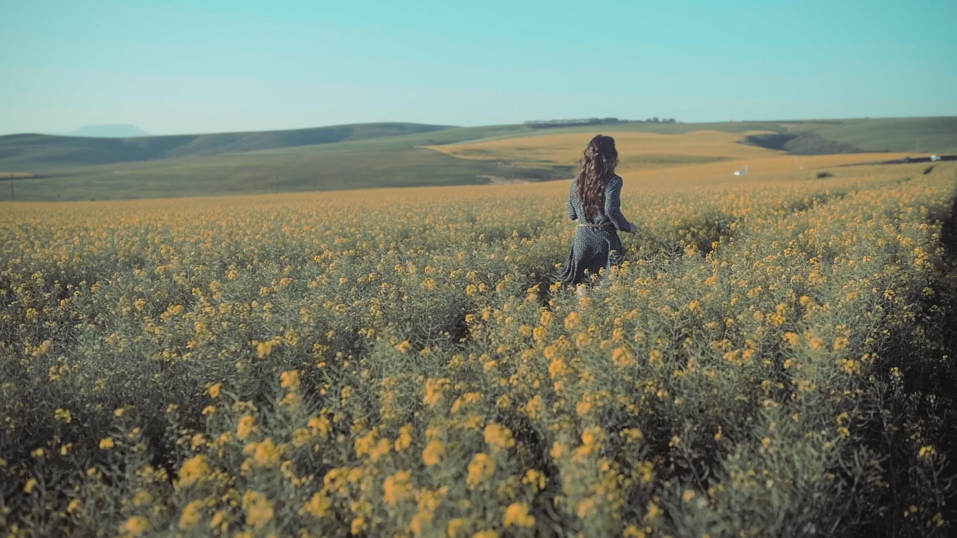 Video laden: